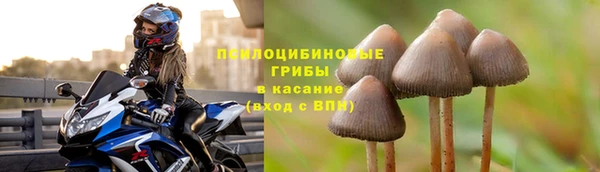 круглые Алзамай
